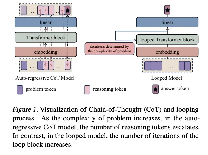 Visualization contrasting a standard auto-regressive CoT model with a Looped Transformer. As problem complexity increases, the CoT model's reasoning token sequence grows, while the looped model increases its number of internal loop iterations.